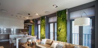 Живая стена – вертикальное озеленение в интерьере